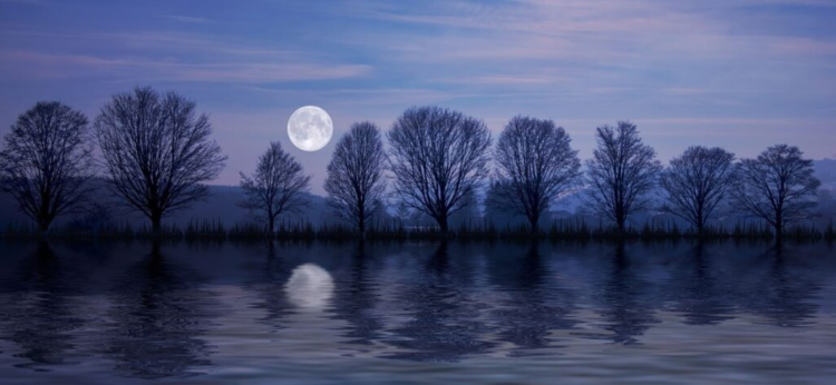 Full moon 4593195 1280 1024x472