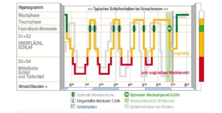 Schlafphasen
