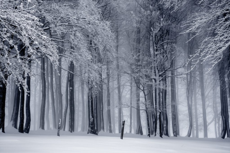 Gesund durch den Winter 1 1024x683