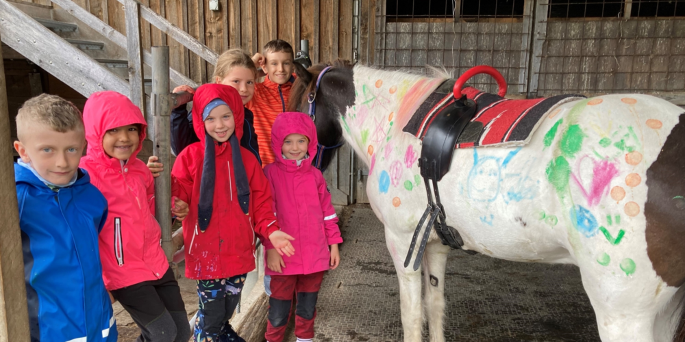 Waldreise-Pony_2025-01-23-143628_jdrc.jpg