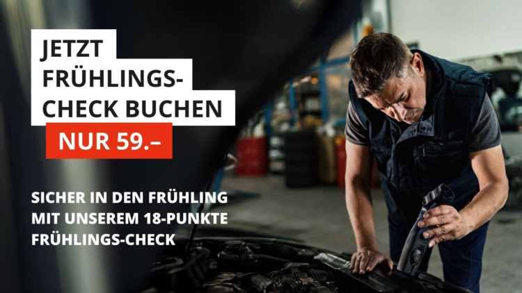 GRA Fruehlingscheck V01 MASTER Video 2