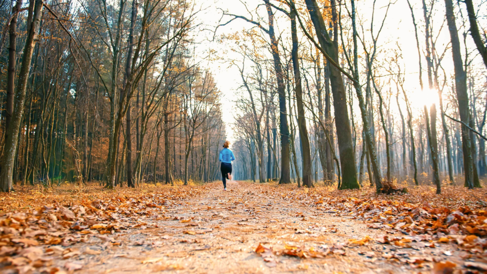 Eine Joggerin rennt durch den Wald im Herbst mit Blättern auf dem Weg.