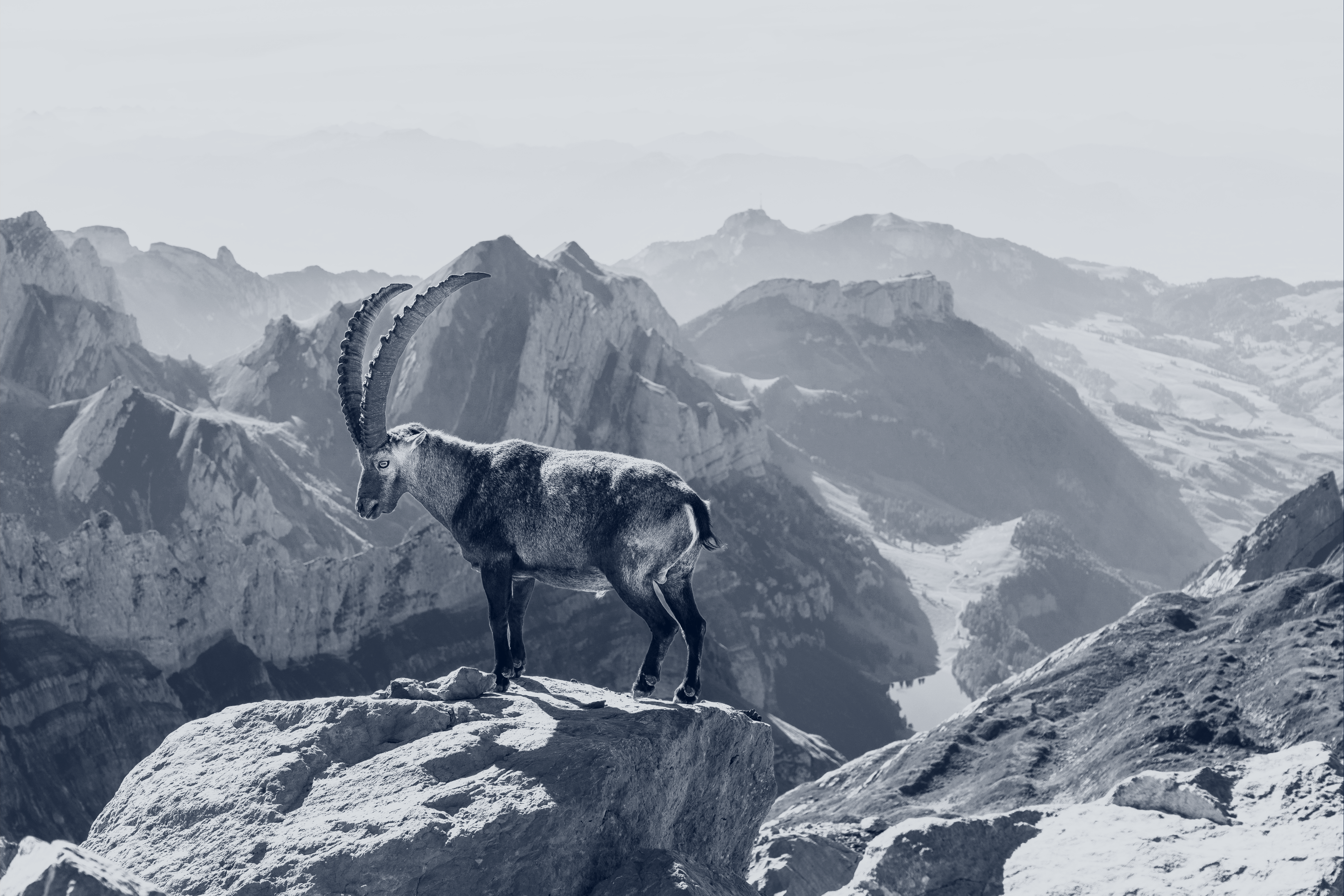 About Us Saentis
